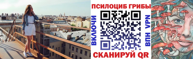 Купить  Пучеж  Псилоцибиновые грибы GOLDEN TEACHER 