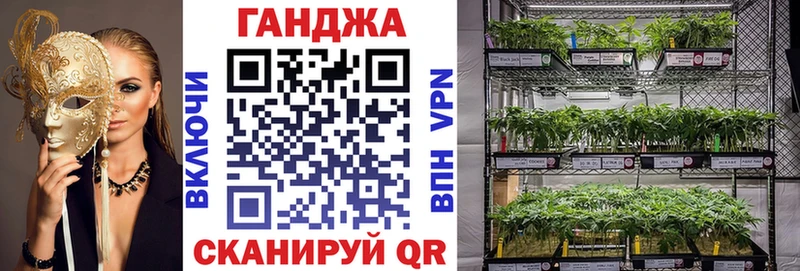 Купить закладки  Пучеж  Бошки марихуана AK-47 